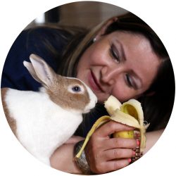 Profesora Mary feeding Pumpkin, her rabbit, a banana